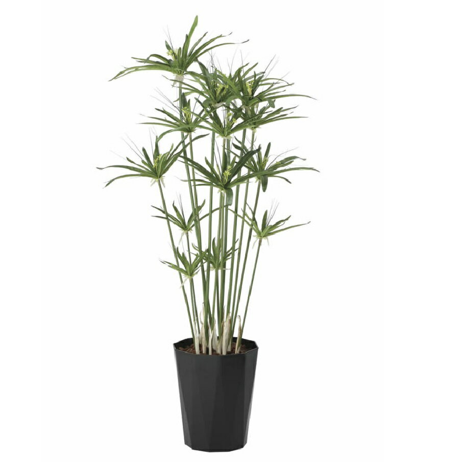 インテリア フェイクグリーン・人工観葉植物 パピルス 1.25m 光触媒加工（V-CAT）