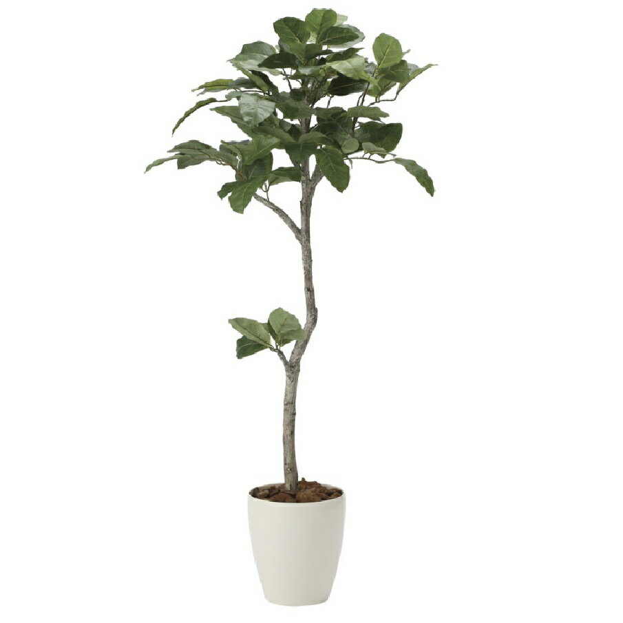 Rakuten - インテリア フェイクグリーン・人工観葉植物 ベンガル菩提樹1.35m 光触媒加工（V-CAT）