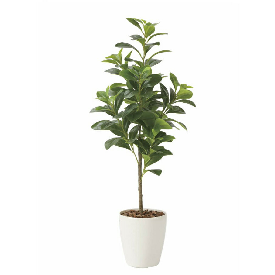 インテリア フェイクグリーン・人工観葉植物 フレッシュマネーツリー 90cm 光触媒加工（V-CAT）