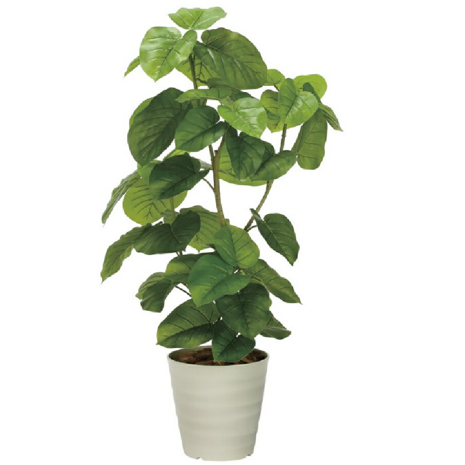 Rakuten - インテリア フェイクグリーン・人工観葉植物 フレッシュDXウンベラータ1.3m 光触媒加工（V-CAT）