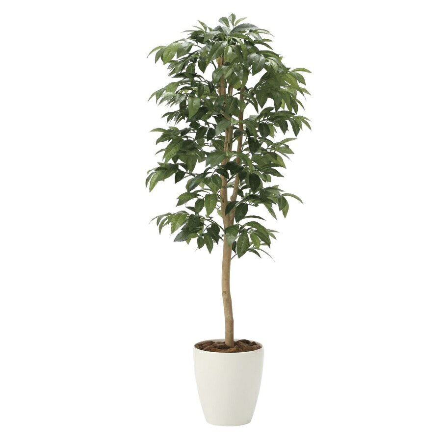 インテリア フェイクグリーン・人工観葉植物 アルデシア(万両)1.3m 光触媒加工（V-CAT）
