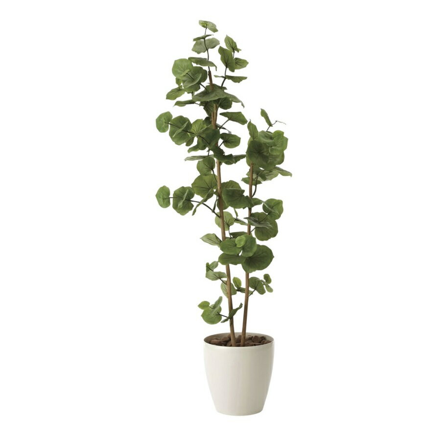 Rakuten - インテリア フェイクグリーン・人工観葉植物 シーグレープ1.6m 光触媒加工（V-CAT）