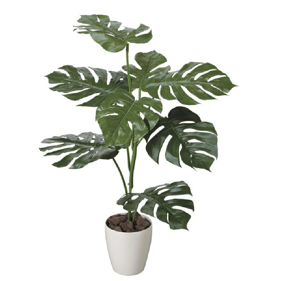 Rakuten - インテリア フェイクグリーン・人工観葉植物 モンステラ 1.0m 光触媒加工（V-CAT）