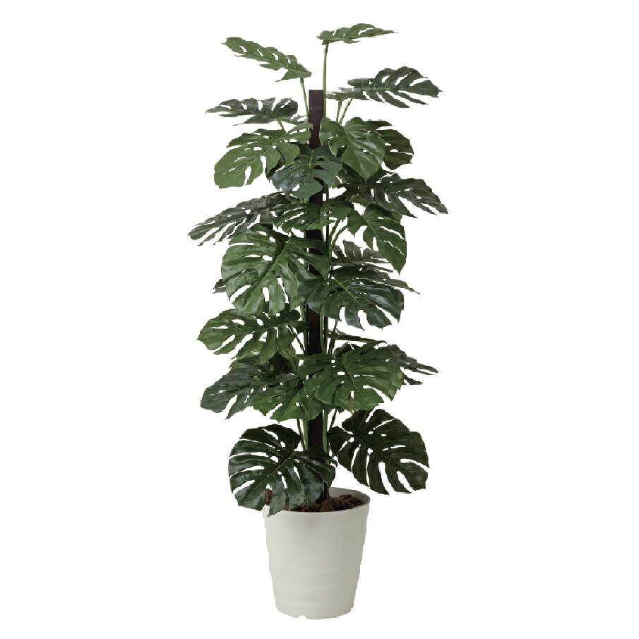 インテリア フェイクグリーン・人工観葉植物 モンステラ1.8m 光触媒加工（V-CAT）