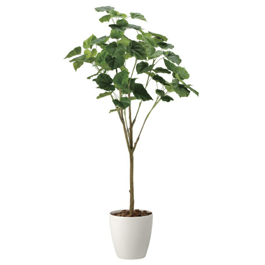 インテリア フェイクグリーン・人工観葉植物 フィカスウンベラータ1.7m 光触媒加工（V-CAT）