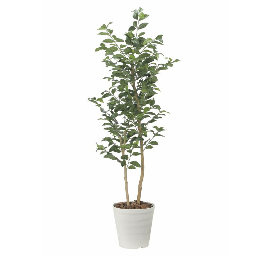 インテリア フェイクグリーン・人工観葉植物 レモンの木1.6m 光触媒加工（V-CAT）