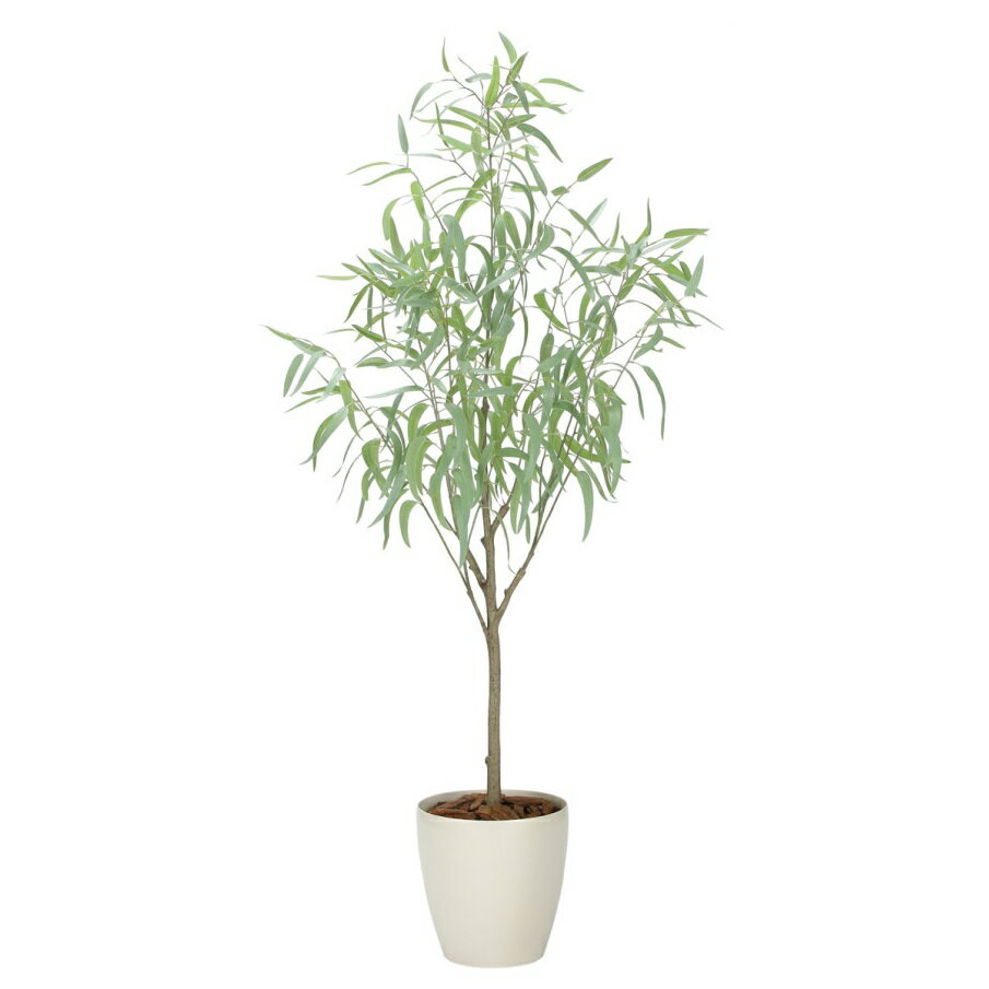 インテリア フェイクグリーン・人工観葉植物 フレッシュシルバーユーカリ1.7m 光触媒加工（V-CAT）
