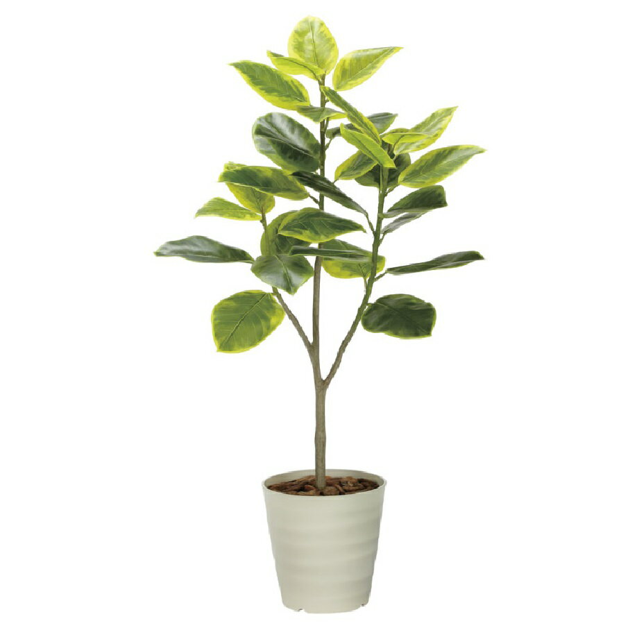 Rakuten - インテリア フェイクグリーン・人工観葉植物 フレッシュアルテシマ1.35m 光触媒加工（V-CAT）