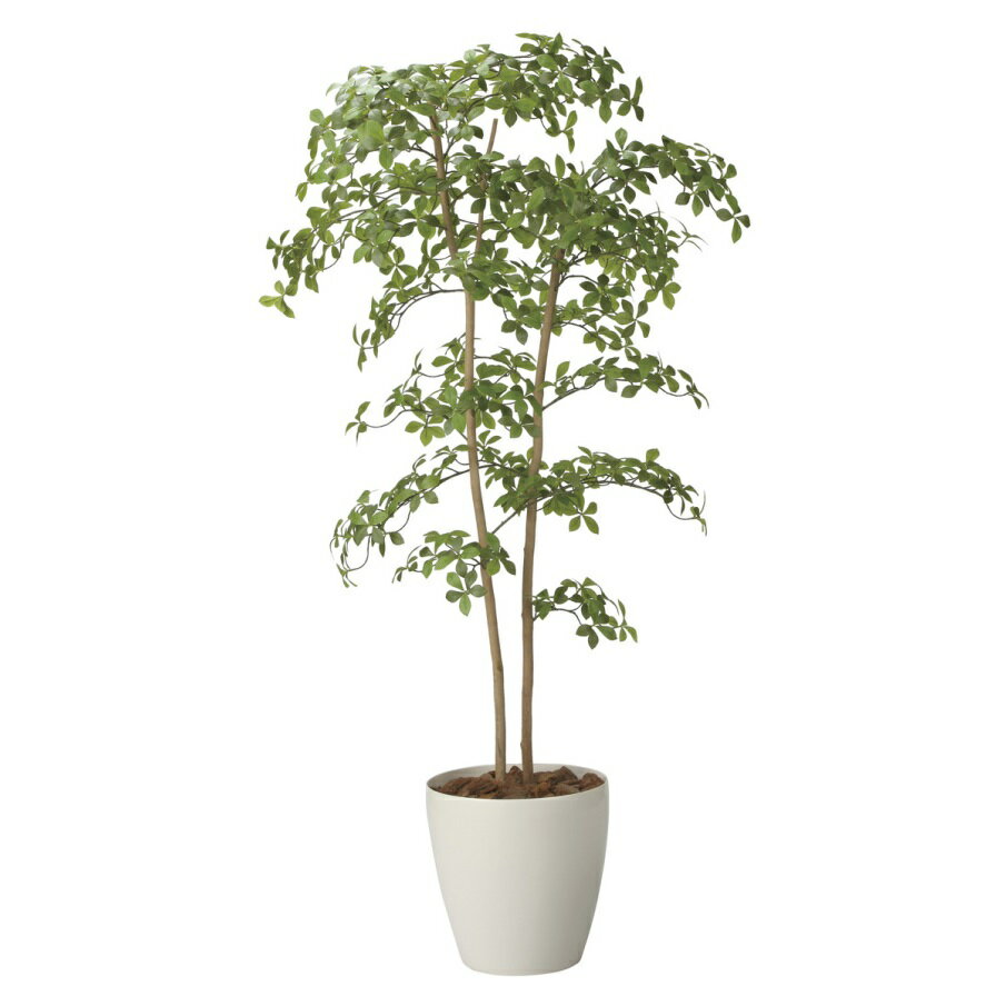 インテリア フェイクグリーン・人工観葉植物 アーモンドツリー1.8m 光触媒加工（V-CAT）