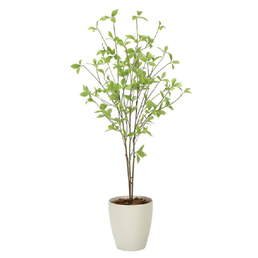 インテリア フェイクグリーン・人工観葉植物 クロモジ1.2m 光触媒加工（V-CAT）
