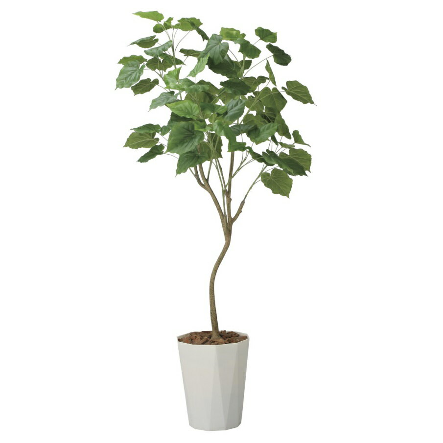 インテリア フェイクグリーン・人工観葉植物 インテリアウンベラータ1.75m 光触媒加工（V-CAT）