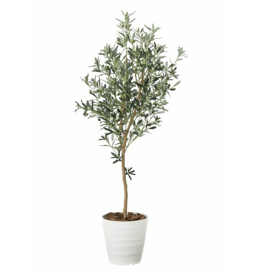Rakuten - インテリア フェイクグリーン・人工観葉植物 オリーブツリー1.6m 光触媒加工（V-CAT）