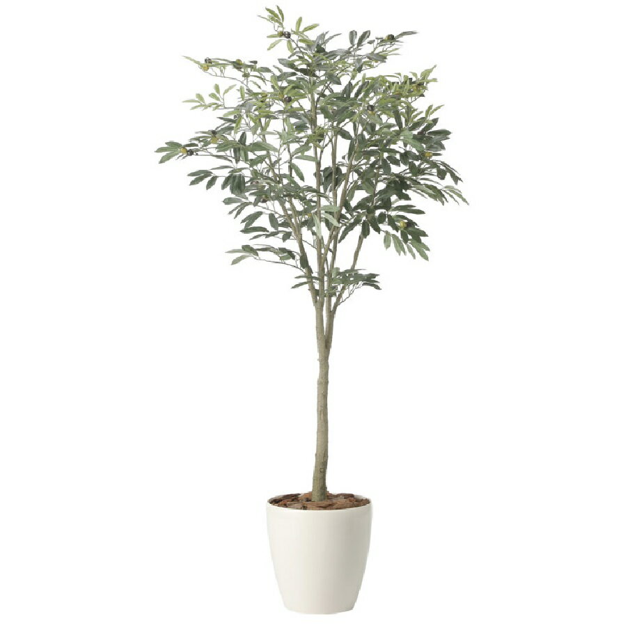 インテリア フェイクグリーン・人工観葉植物 オリーブツリー1.7m 光触媒加工（V-CAT）