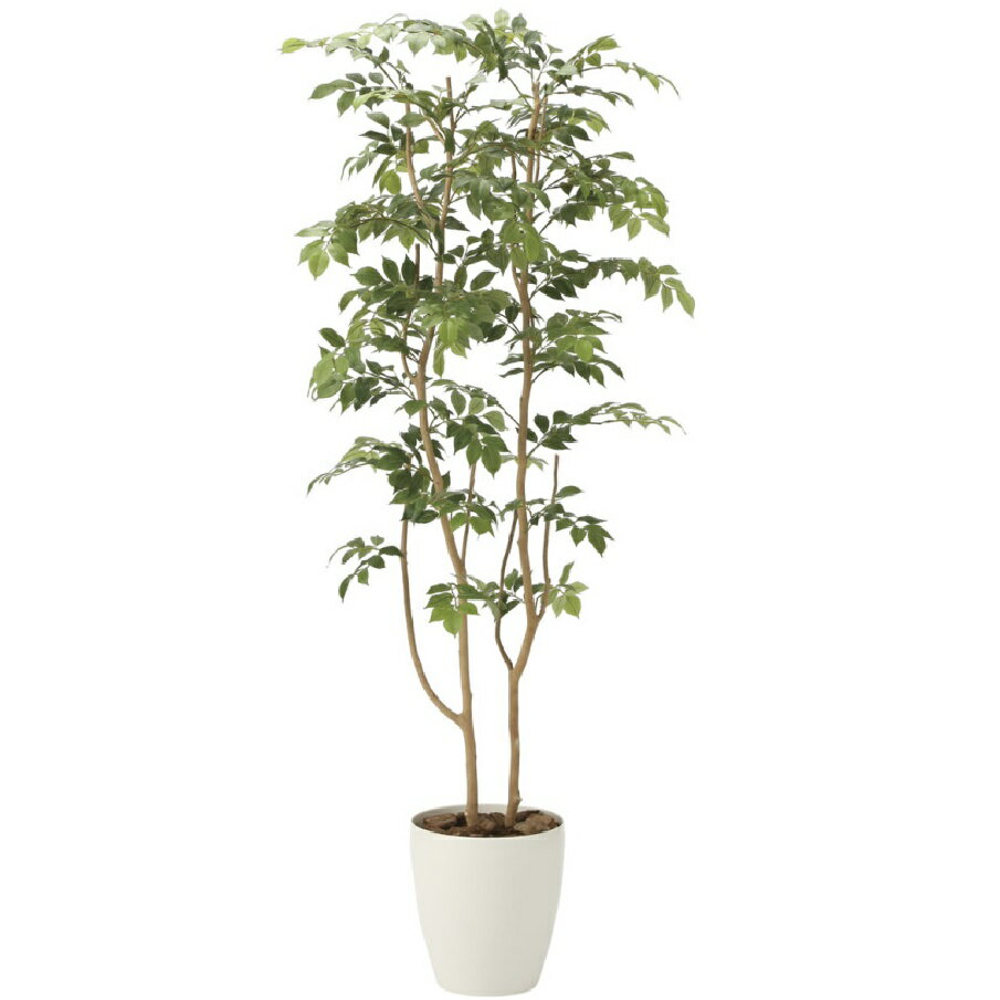 インテリア フェイクグリーン・人工観葉植物 マウンテンアッシュ1.6m 光触媒加工（V-CAT）