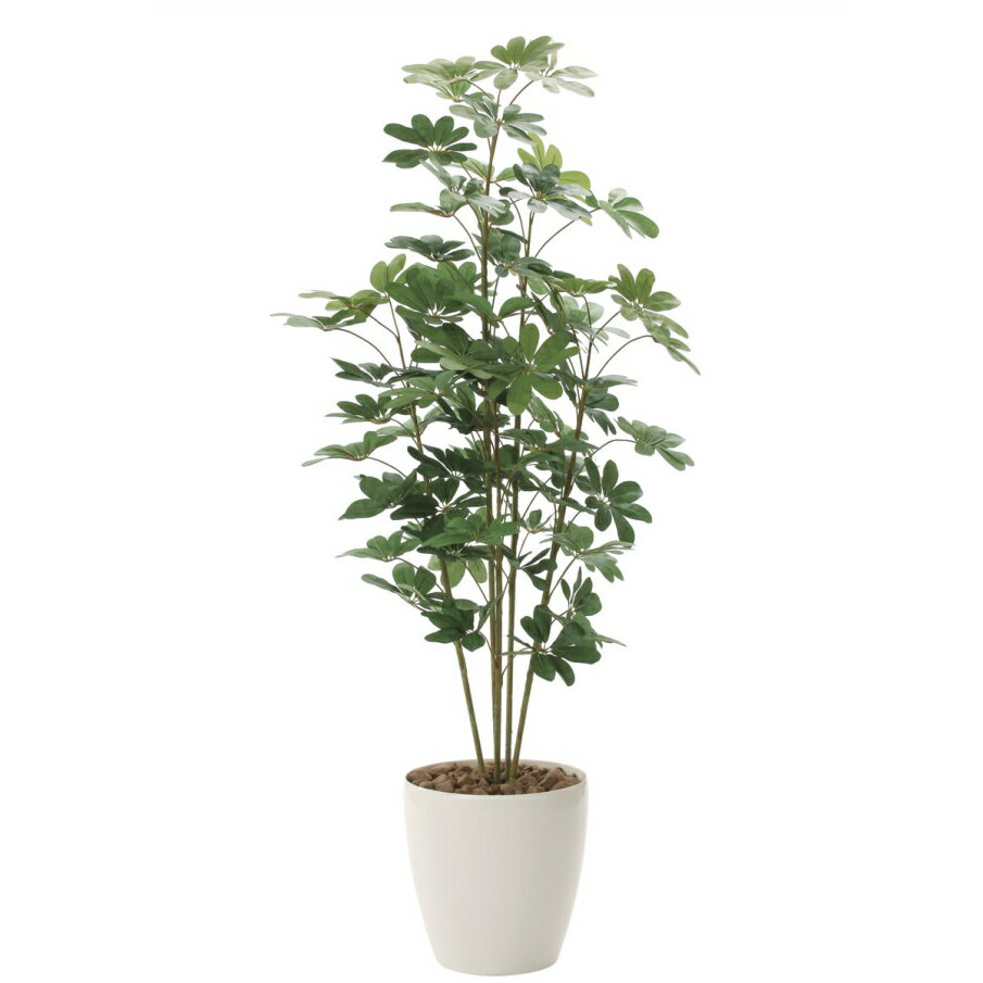 インテリア フェイクグリーン・人工観葉植物 カポック 1.8m 光触媒加工（V-CAT）