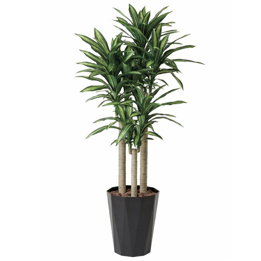インテリア フェイクグリーン・人工観葉植物 幸福の木 1.8m 光触媒加工（V-CAT）