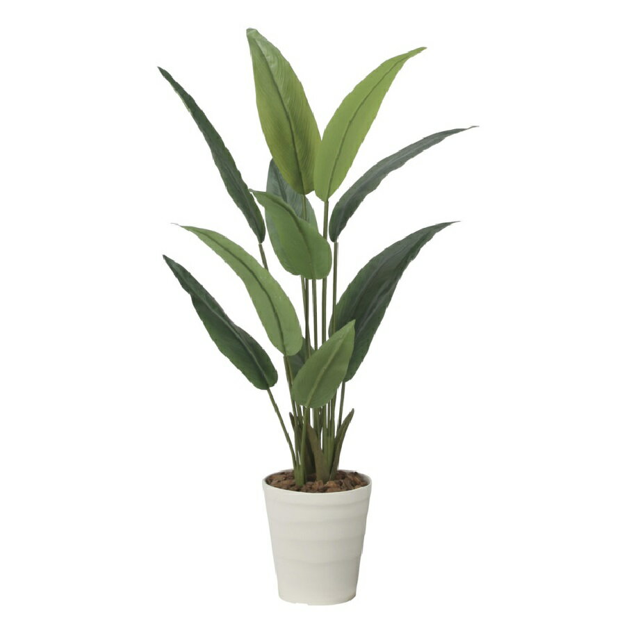 インテリア フェイクグリーン・人工観葉植物 フレッシュストレチア 1.2m 光触媒加工（V-CAT）