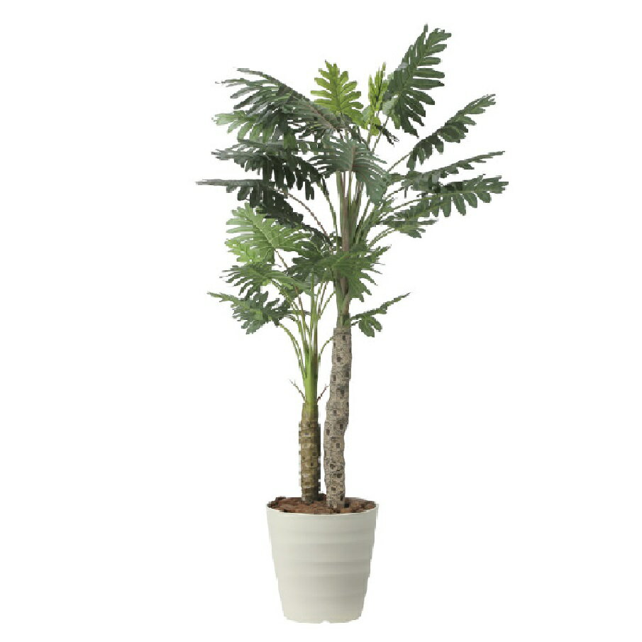 インテリア フェイクグリーン・人工観葉植物 セロームW 1.8m 光触媒加工（V-CAT）