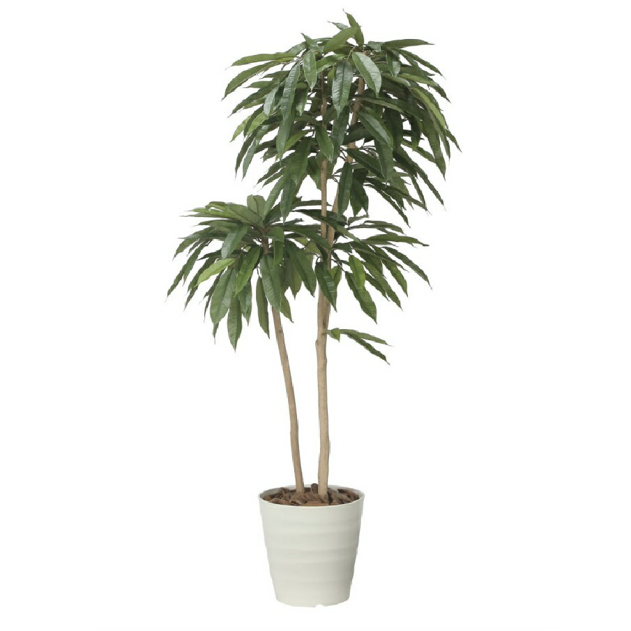 インテリア フェイクグリーン・人工観葉植物 アムステルラバーキング1.6m 光触媒加工（V-CAT）