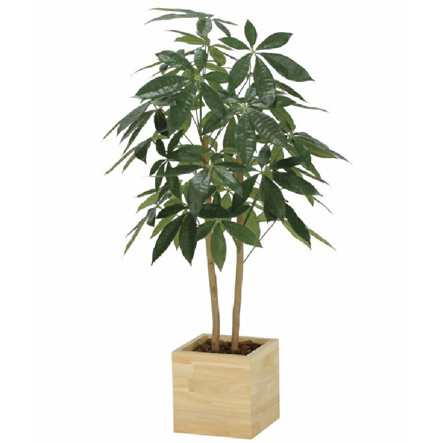 インテリア フェイクグリーン・人工観葉植物 ウッドボックスパキラ1.0m 光触媒加工（V-CAT）