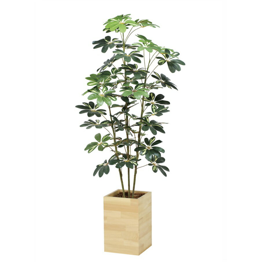 インテリア フェイクグリーン・人工観葉植物 ウッドボックスカポック1.6m 光触媒加工（V-CAT）