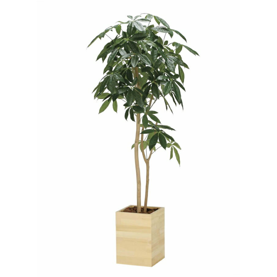 インテリア フェイクグリーン・人工観葉植物 ウッドボックスパキラ1.6m 光触媒加工（V-CAT）