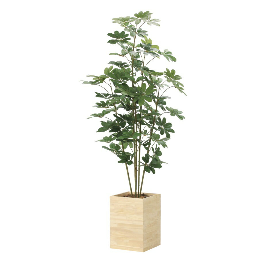 インテリア フェイクグリーン・人工観葉植物 ウッドボックスカポック1.8m 光触媒加工（V-CAT）