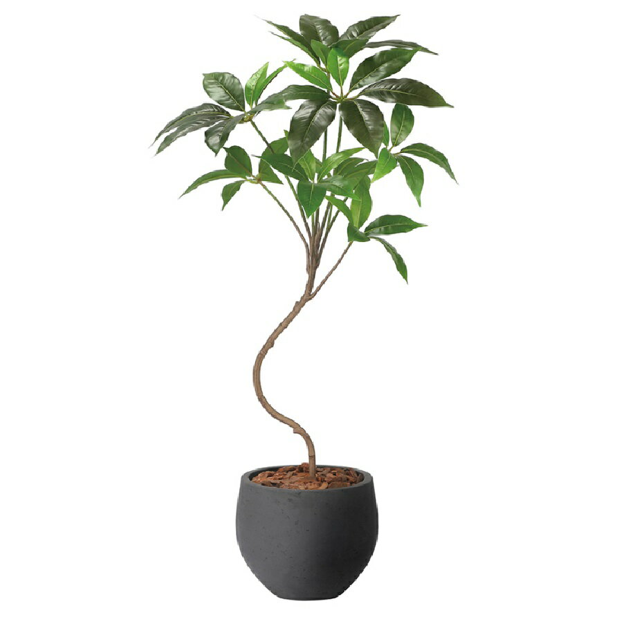 Dracaena - インテリア フェイクグリーン・人工観葉植物 ナチュラルツビタンサス 1.0m 光触媒加工（V-CAT）