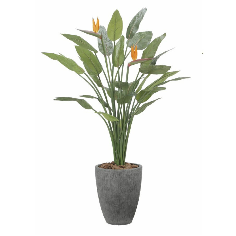 インテリア フェイクグリーン・人工観葉植物 ナチュラルストレチア花付き1.7m 光触媒加工（V-CAT）