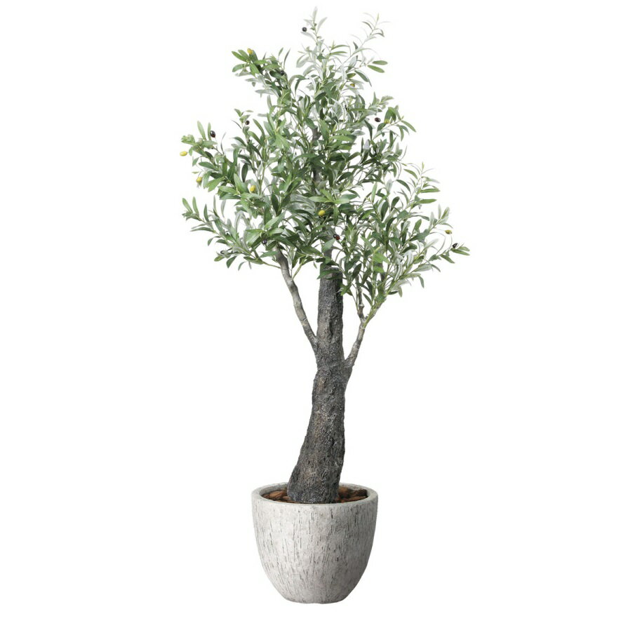 インテリア フェイクグリーン・人工観葉植物 ナチュラルオリーブ1.7m 光触媒加工（V-CAT）