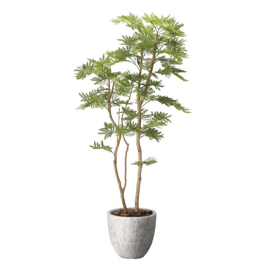Yellow, Orange - インテリア フェイクグリーン・人工観葉植物 ナチュラルねむの木1.6m 光触媒加工（V-CAT）
