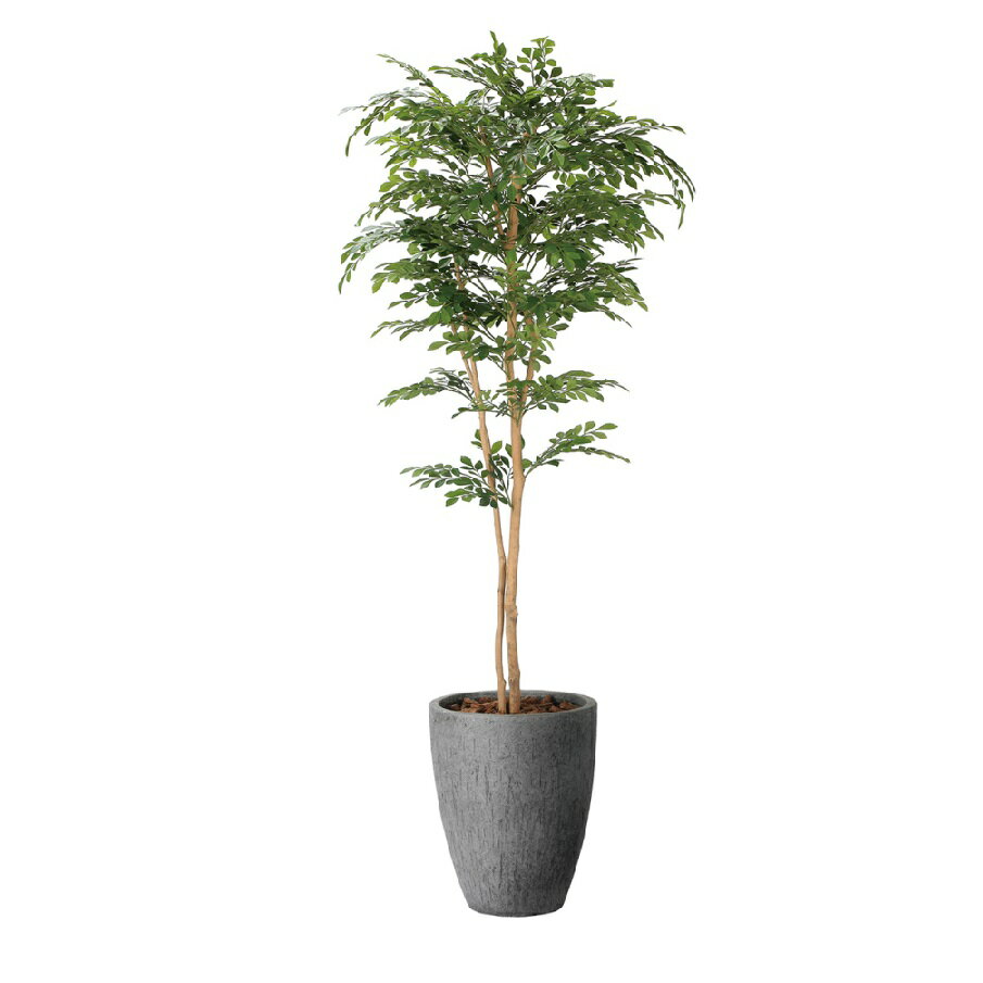 Rakuten - インテリア フェイクグリーン・人工観葉植物 ナチュラルトネリコ 1.8m 光触媒加工（V-CAT）