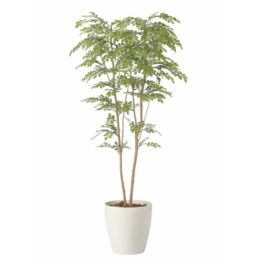 Leafy Plants - インテリア フェイクグリーン・人工観葉植物 ライトトネリコ1.8m 光触媒加工（V-CAT）