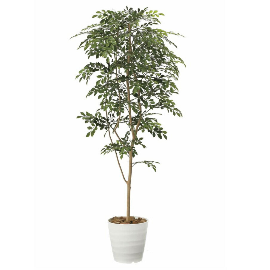 インテリア フェイクグリーン・人工観葉植物 トネリコ1.8m 光触媒加工（V-CAT）