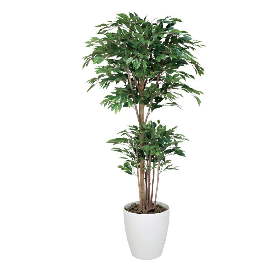 インテリア フェイクグリーン・人工観葉植物 トロピカルベンジャミン 1.6m 光触媒加工（V-CAT）