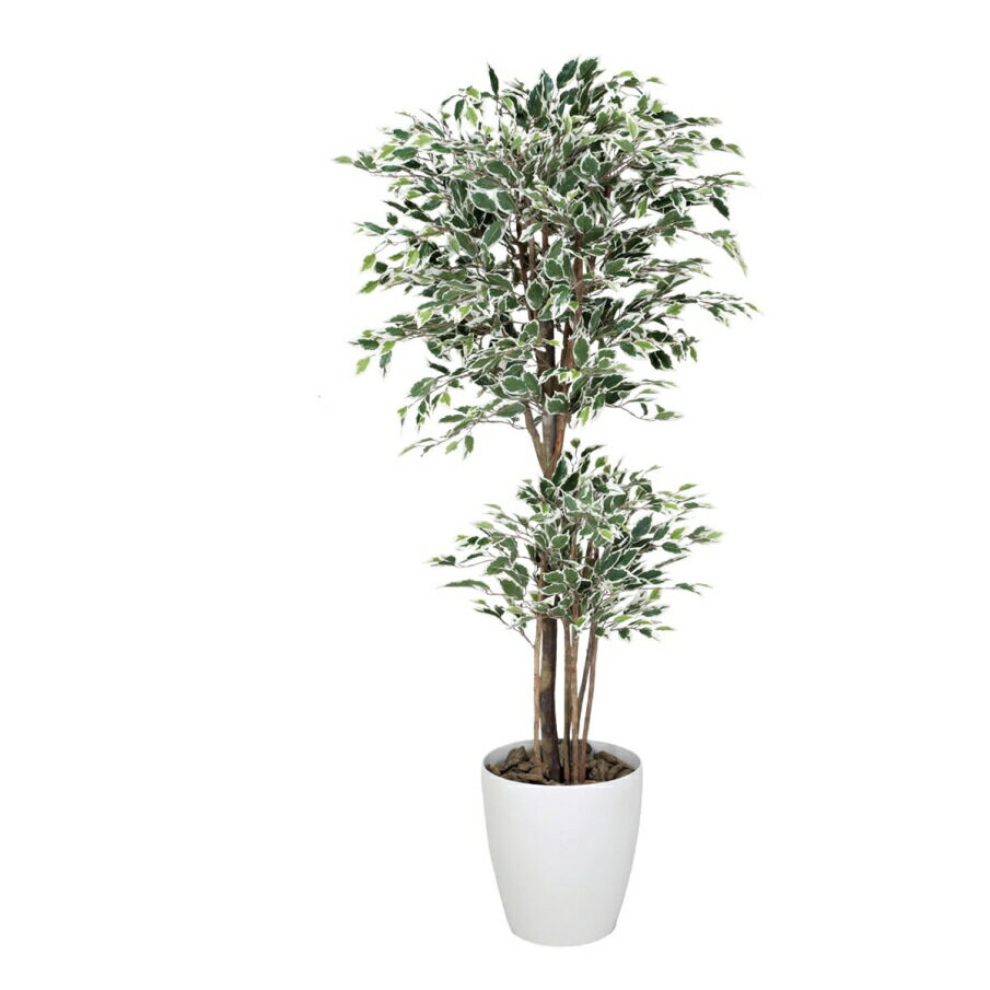 インテリア フェイクグリーン・人工観葉植物 トロピカルベンジャミン斑入リ 1.6m 光触媒加工（V-CAT）
