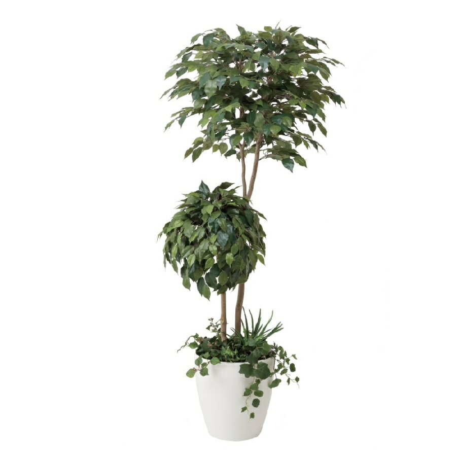 インテリア フェイクグリーン・人工観葉植物 ベンジャミンダブルフェイス（植栽付）1.8m 光触媒加工（V-CAT）