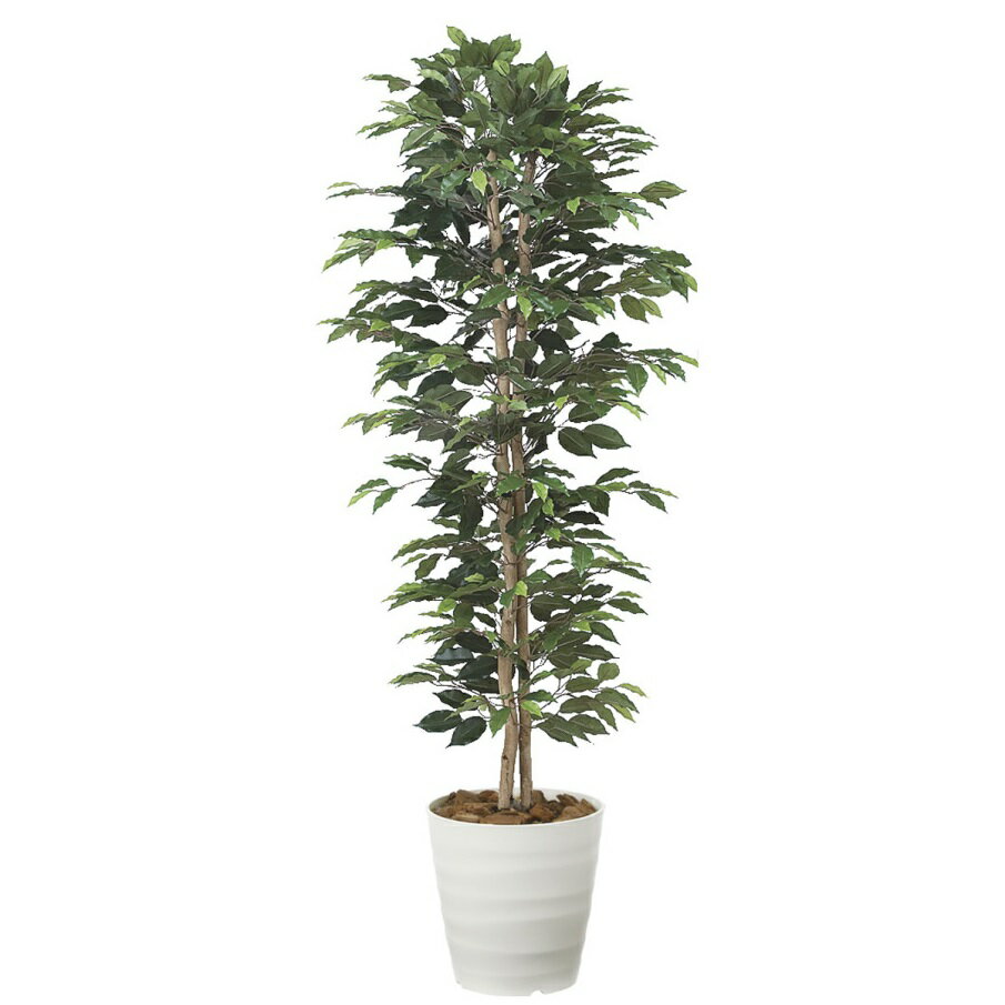 インテリア フェイクグリーン・人工観葉植物 ベンジャミンスリム1.6m 光触媒加工（V-CAT）