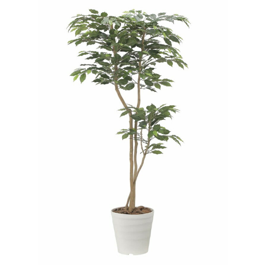 インテリア フェイクグリーン・人工観葉植物 デザインベンジャミン1.6m 光触媒加工（V-CAT）