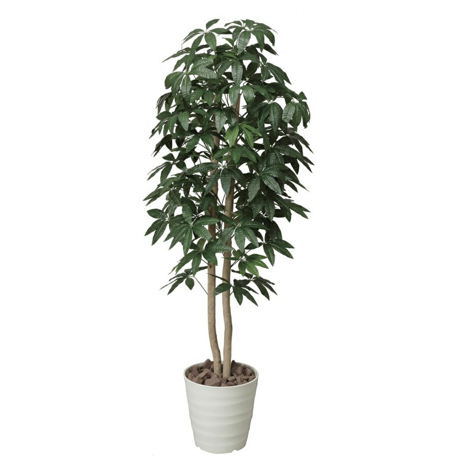 インテリア フェイクグリーン・人工観葉植物 パキラツリー 1.6m 光触媒加工（V-CAT）