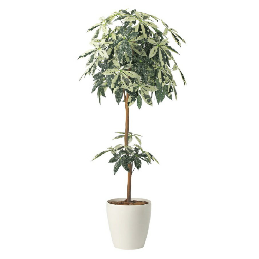 Rakuten - インテリア フェイクグリーン・人工観葉植物 ミルキーパキラ1.6m 光触媒加工（V-CAT）