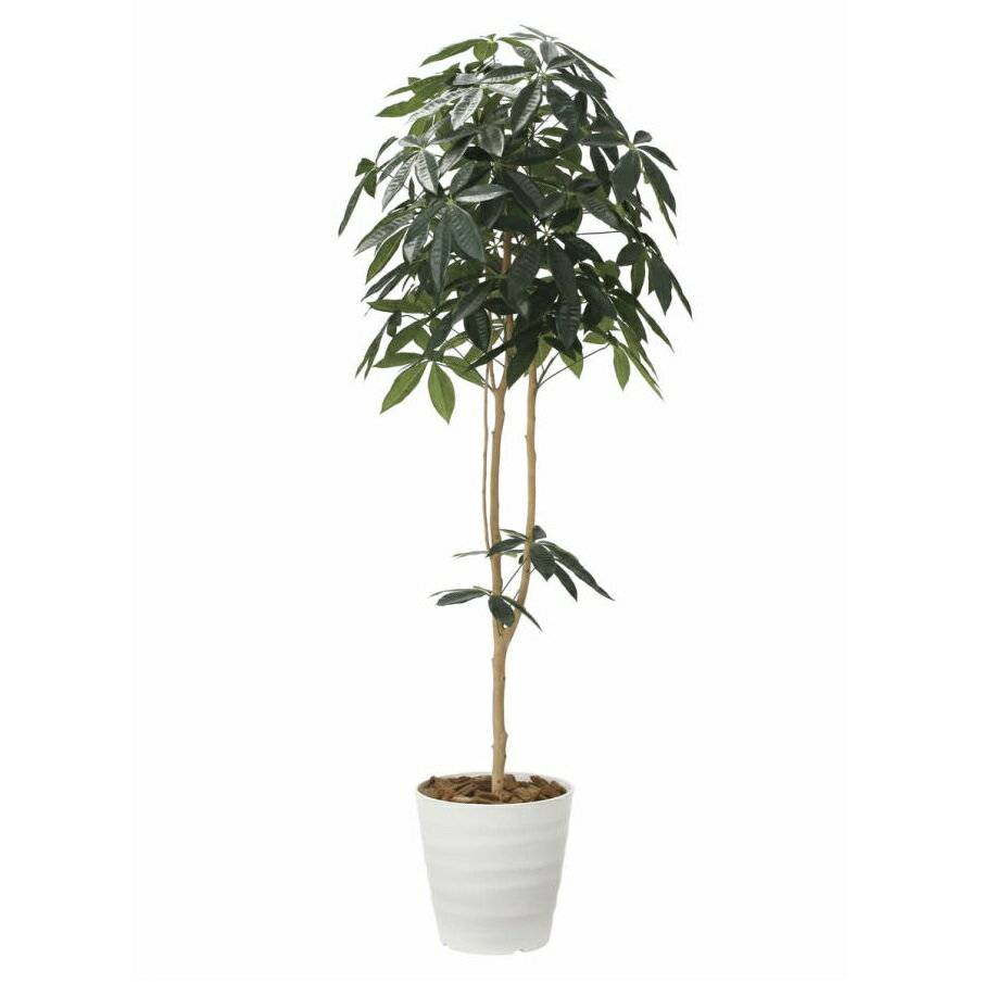 Rakuten - インテリア フェイクグリーン・人工観葉植物 デザインパキラ1.8m 光触媒加工（V-CAT）