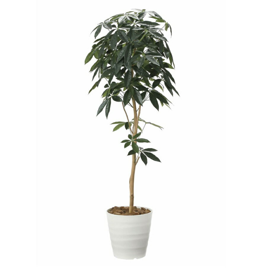 インテリア フェイクグリーン・人工観葉植物 デザインパキラ1.6m 光触媒加工（V-CAT）