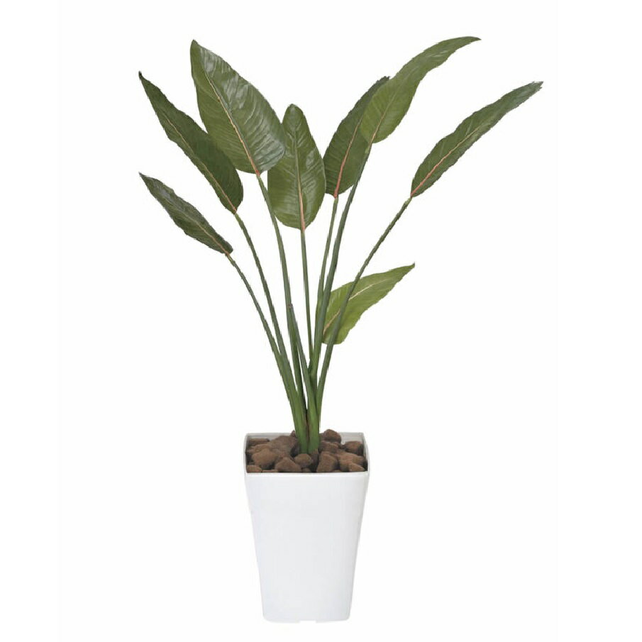 Leafy Plants - インテリア フェイクグリーン・人工観葉植物 ストレチア 1.1m 光触媒加工（V-CAT）