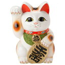 常滑焼 招き猫　梅月 白小判猫　（右手）8号高さ：25cm