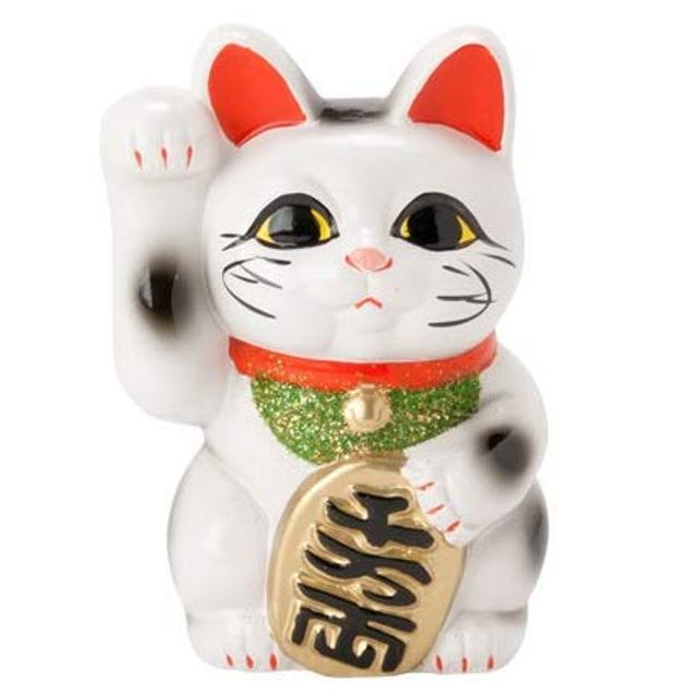 常滑焼 招き猫 梅月 白小判猫 （右手）4号高さ：13cm