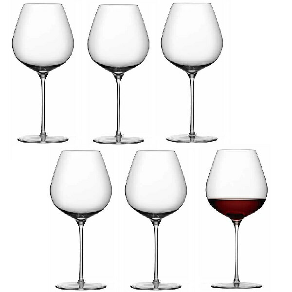 【6客組】Stolzle Lausitz(シュトルツル ラウジッツ) ワイングラス フィーノ00 バーガンディ