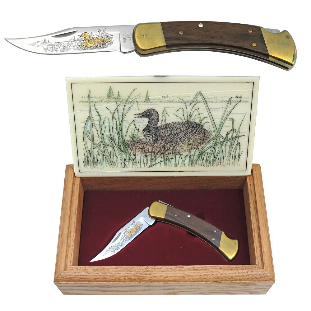 バックナイフ BUCK 110E3 ルーン フォールディングハンター