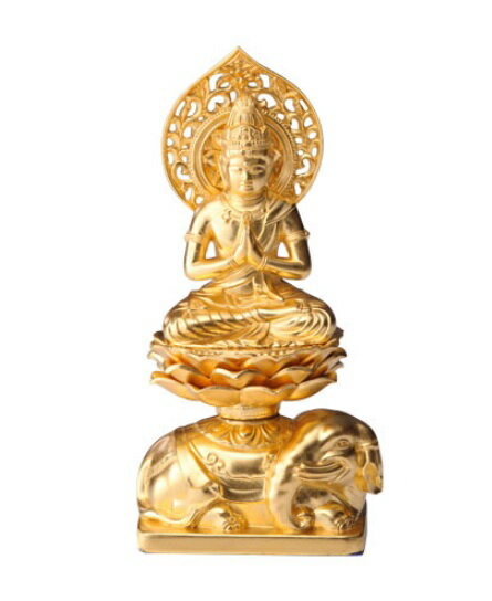 金沢金箔仕上げ高さ約15cm普賢菩薩