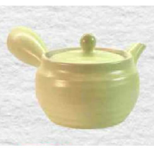 常滑焼 急須 晶作「薄緑 線段」330ml (ファインメッシュ茶こし)